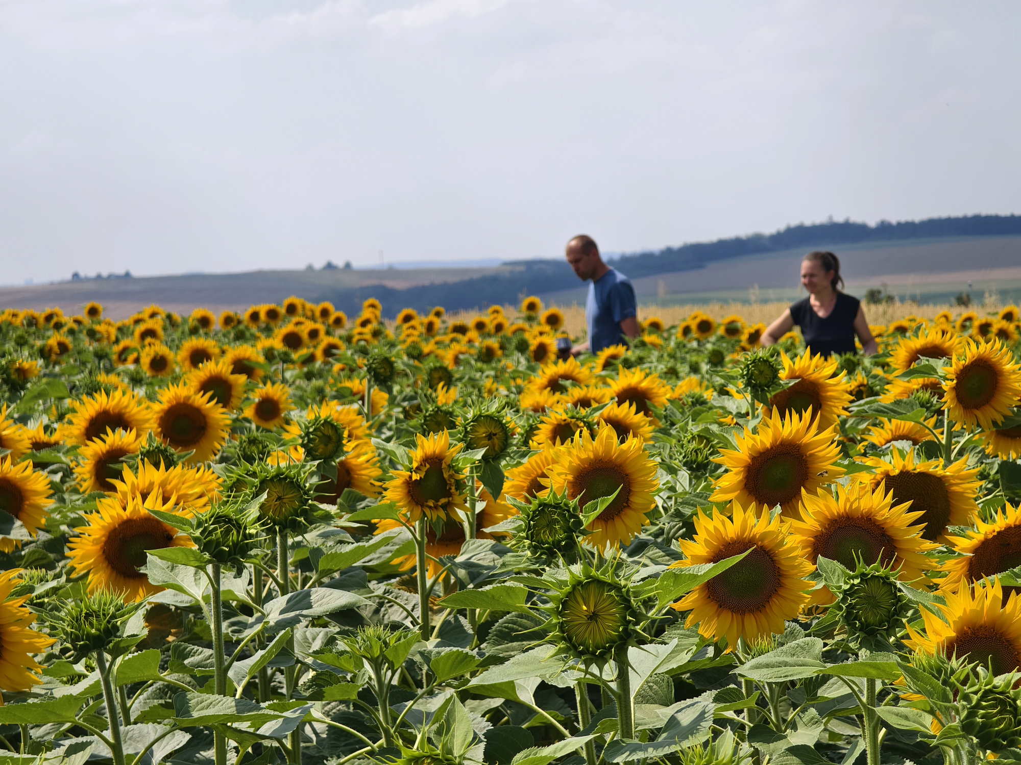 IMG 20240709 145813 result