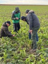 WhatsApp-Image-Dec-19-2024-7