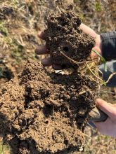 WhatsApp-Image-2026-03-03-at-154203-2