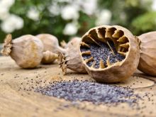 IMG20240906150223-Large