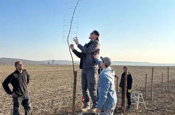 Podpora rozmanitosti