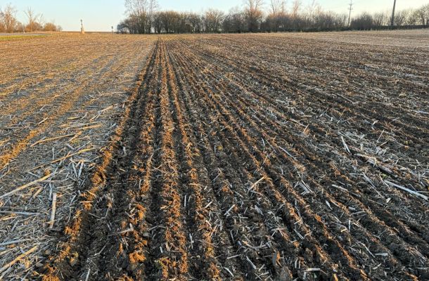 Regenerativní vs. konvenční zemědělství