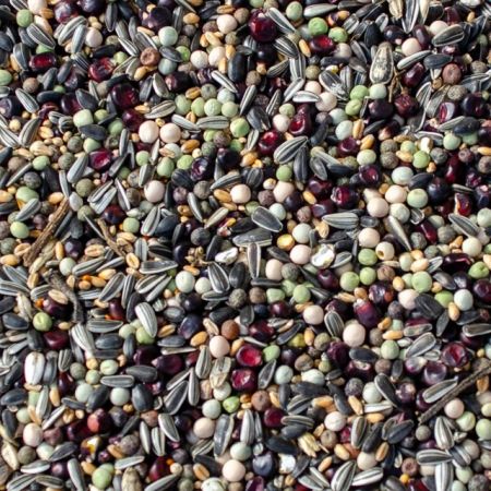 Směs MASTR standart