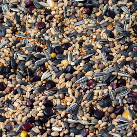 Směs MASTR bez hrachu