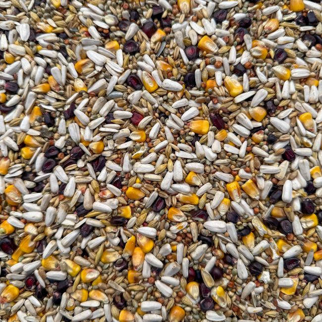 Mastr – Sprint energetická směs 25kg