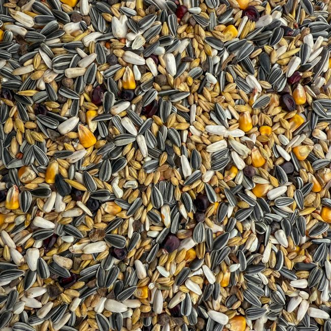 Mastr – super dietní vdovská směs 25kg