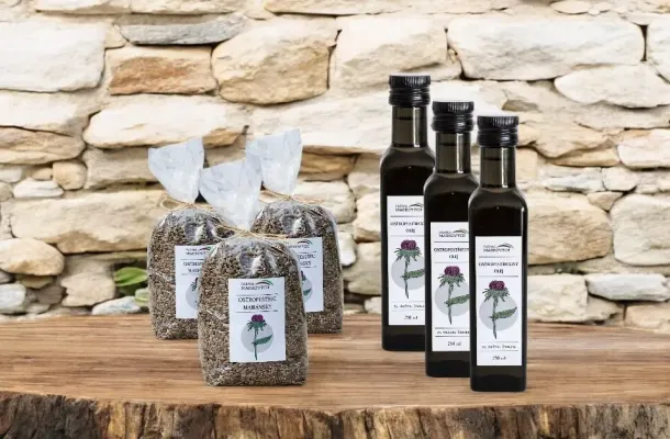 Ostropestřec mariánský