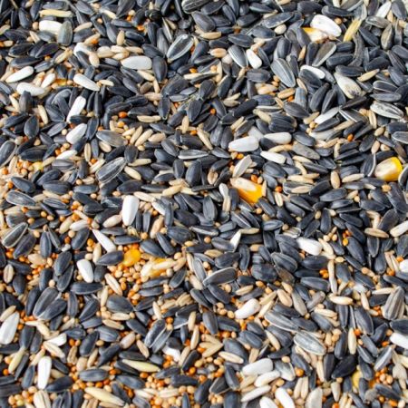 Směs pro venkovní ptáky