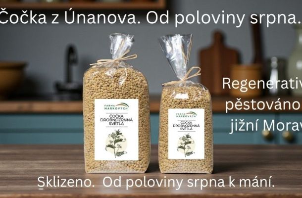 čočka z Únanova