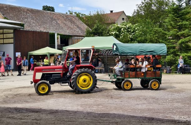 Farmářský den na Farmě Markových