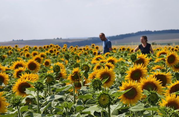 Náš dlouholetý podporovatel: Jihomoravský kraj