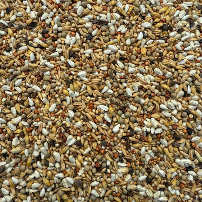 Mastr – dietní směs