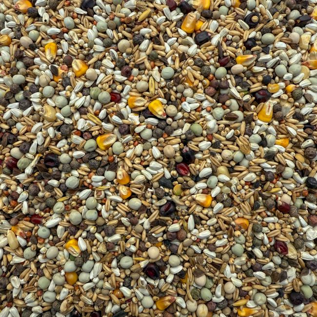 Mastr - bez pšenice směs 25kg