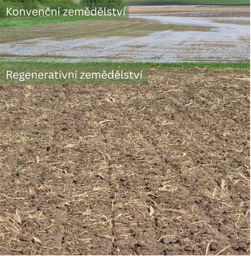 Regenerativní zemědělství