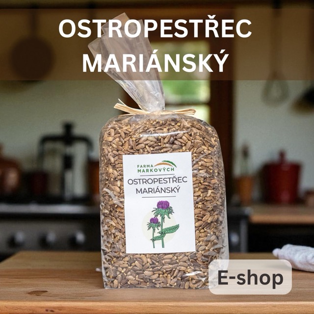 Ostropestřec mariánský