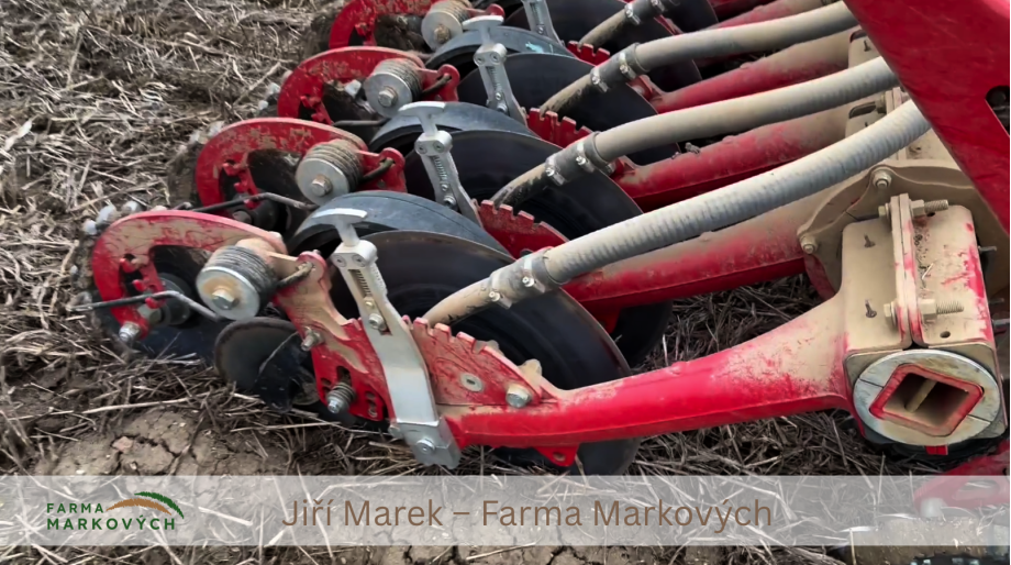 Setí čočky do vymrzlé meziplodiny