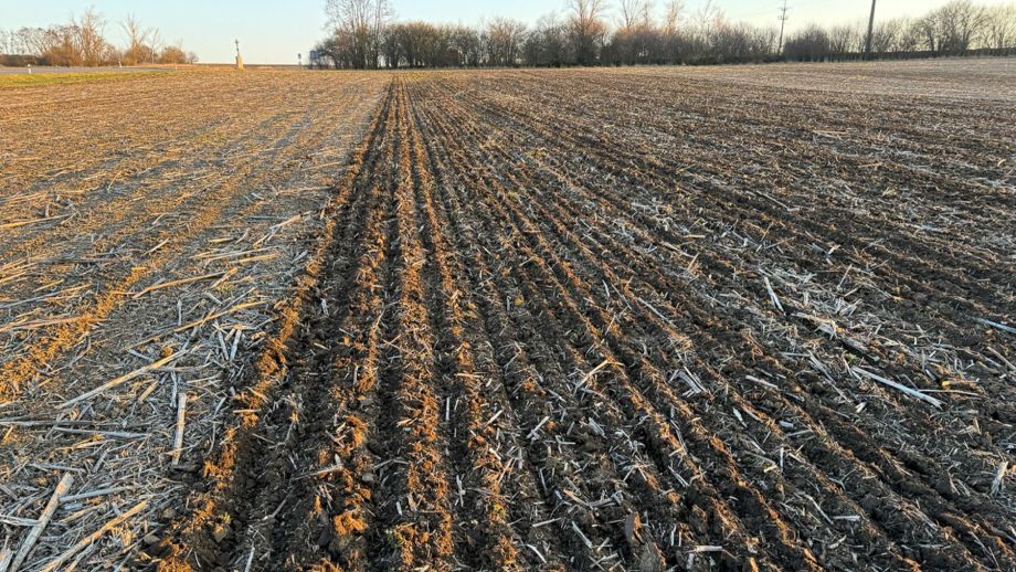 Regenerativní vs. konvenční zemědělství