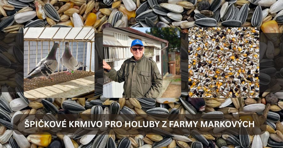 krmivo pro holuby
